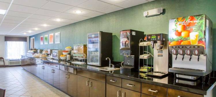 舒适套房酒店(Comfort Suites)图片