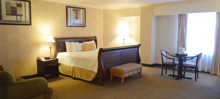 新拉莱多贝斯特韦斯特优质套房酒店(Best Western Plus Nuevo Laredo Inn  Suites)图片