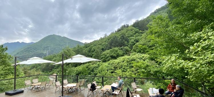 Ginkgo Resort银杏宿图片