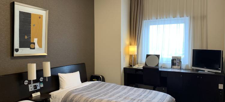 露樱酒店东室兰站前店(Hotel Route-Inn Higashimuroran Ekimae)图片