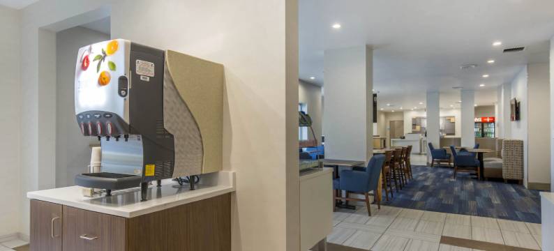 智选假日套房酒店-芝加哥西/圣查尔斯(Holiday Inn Express & Suites CHICAGO WEST - ST CHARLES by IHG)图片