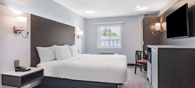 温德姆戴斯套房酒店-尼亚加拉瀑布/布法罗(Days Inn & Suites by Wyndham Niagara Falls/Buffalo)图片