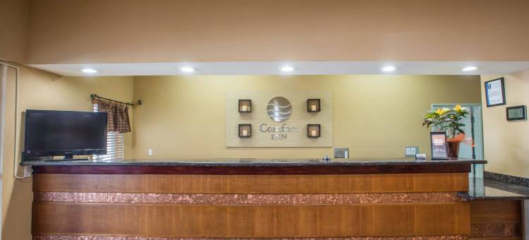 北柯林斯堡舒适酒店(Comfort Inn Fort Collins North)图片