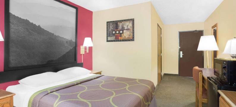 罗阿诺克速8酒店(Super 8 by Wyndham Roanoke VA)图片