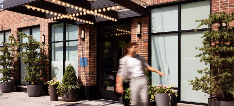 阿罗威廉斯堡(Arlo Williamsburg)图片