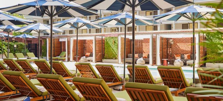 萨凡达阿里达酒店-臻品之选(The Alida, Savannah, a Tribute Portfolio Hotel)图片