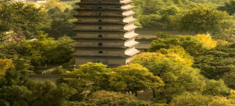 煜煜云端小筑(西一路分店)图片