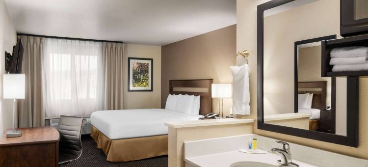 迪瑟斯特贝蒙特套房酒店(Travelodge by Wyndham Dexter)图片