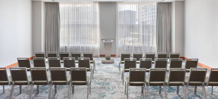 亚特兰大巴克海区特威斯汀酒店(The Westin Buckhead Atlanta)图片