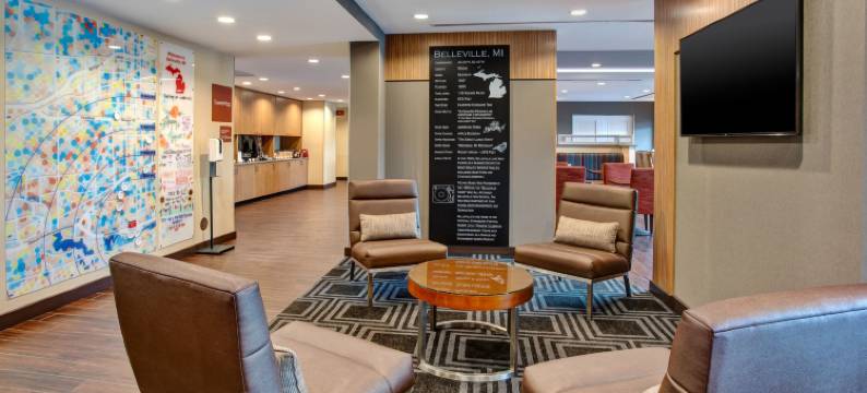 底特律贝尔维尔TownePlace Suites酒店(TownePlace Suites Detroit Belleville)图片