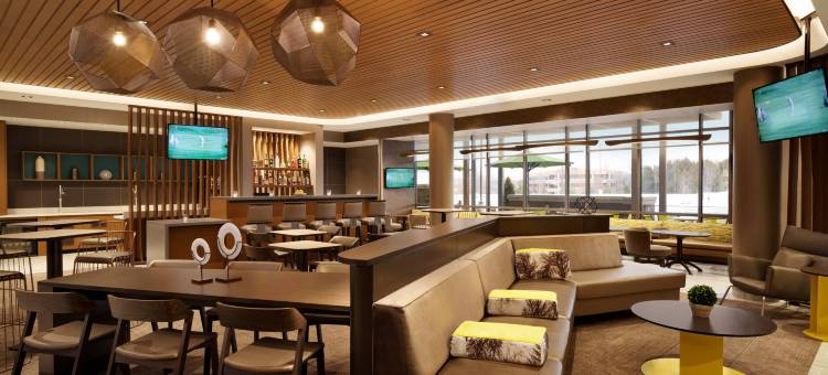 阿伦敦伯利恒森特瓦利SpringHill Suites酒店(SpringHill Suites Allentown Bethlehem/Center Valley)图片