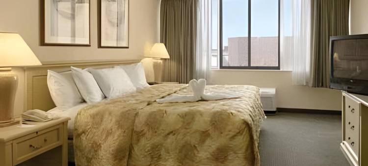 市中心舒适酒店(Comfort Inn Downtown)图片