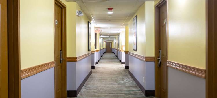 布兰森-安迪威廉姆斯剧院速8酒店(Super 8 by Wyndham Branson/Andy Williams Theatre)图片