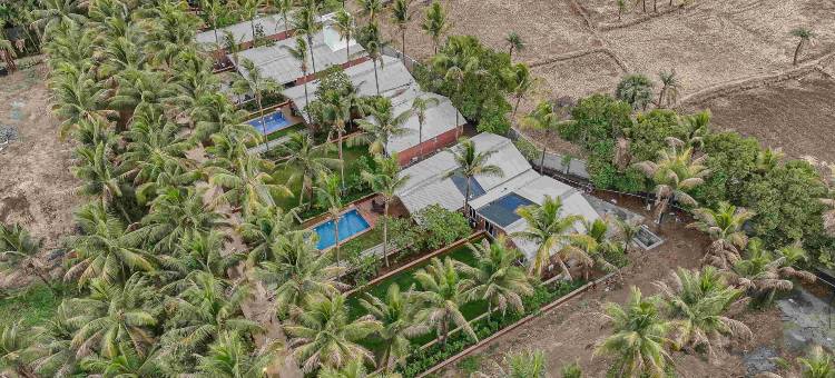 Mauli Stays 可可幸福(Coco Bliss by Mauli Stays)图片