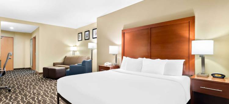 舒适套房酒店-坦帕机场北(Comfort Suites Tampa Airport North)图片