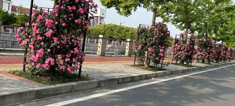 小小雨民宿(浦鸥路分店)图片