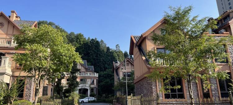 文成县天鹅堡小镇别墅(铜铃山路分店)图片