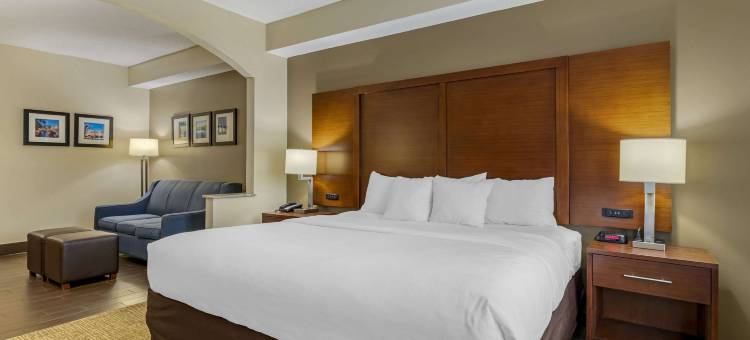 塞金的舒适套房酒店(Comfort Inn & Suites)图片