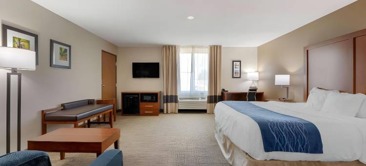 安德森南凯艺酒店(Comfort Inn Anderson South)图片