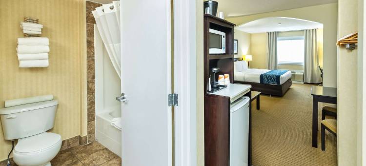 埃德森舒适酒店(Comfort Inn & Suites)图片