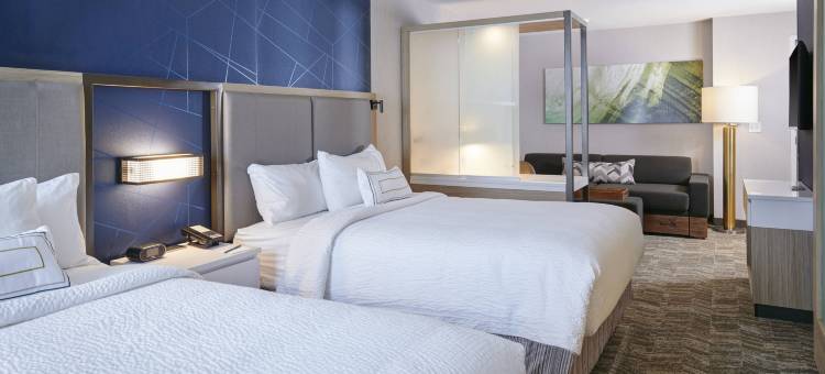 底特律威克森万豪SpringHill Suites酒店(SpringHill Suites by Marriott Wixom Novi)图片