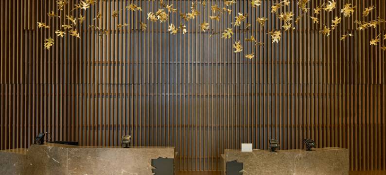 罗利-达勒姆机场威斯汀酒店(The Westin Raleigh-Durham Airport)图片