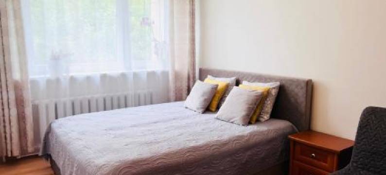 Comfy Classic Apartment in Trakai图片