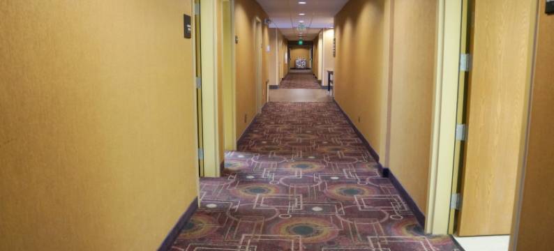 金曼欢朋酒店及套房(Hampton Inn & Suites Kingman)图片