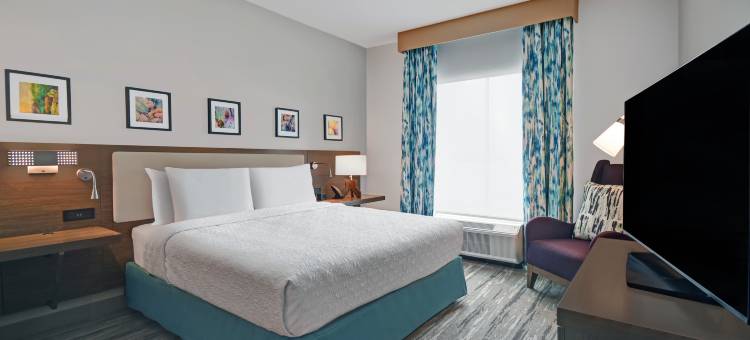 休斯顿医疗中心希尔顿花园酒店(Hilton Garden Inn Houston Medical Center, TX)图片