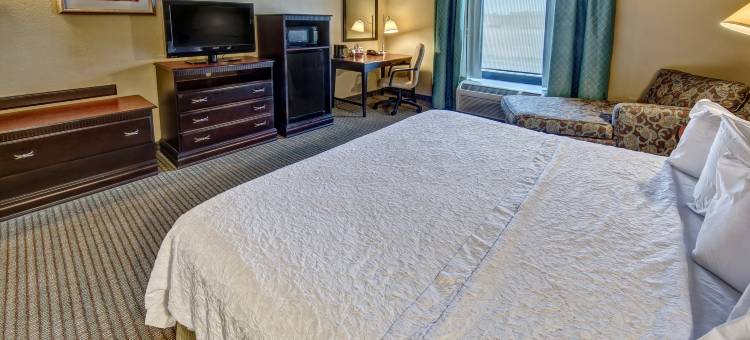 罗切斯特-伊罗德考伊特欢朋酒店(Hampton Inn Rochester-Irondequoit)图片