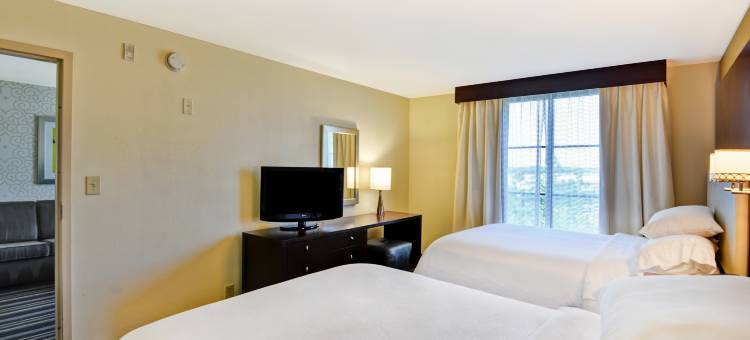 萨凡纳机场希尔顿安泊酒店(Embassy Suites by Hilton Savannah Airport)图片