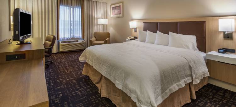 希尔顿欢朋套房酒店-里诺(Hampton Inn & Suites Reno)图片