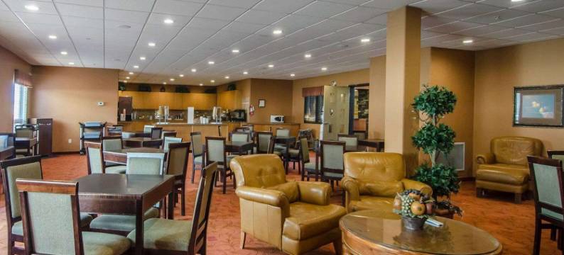 凯艺套房酒店(Quality Inn & Suites)图片