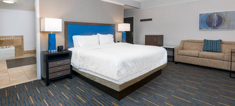 欢朋酒店及套房布法罗市中心(Hampton Inn & Suites Buffalo Downtown)图片