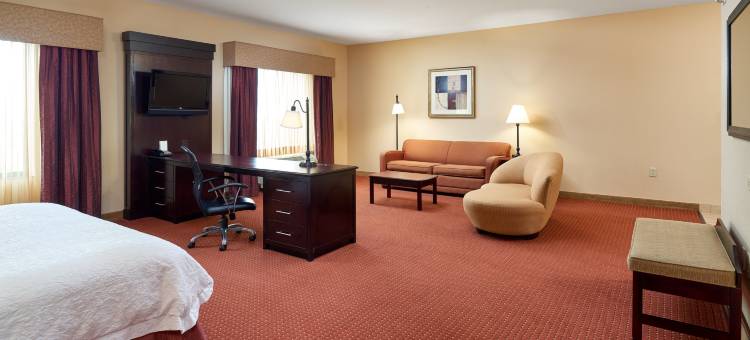 南奥斯汀布达欢朋套房酒店(Hampton Inn & Suites Austin South/Buda)图片