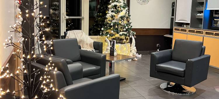 宜必思里昂罗纳河畔沙斯酒店(Ibis Lyon Sud Chasse-Sur-Rhône)图片