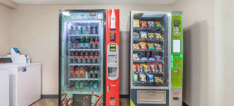 华盛顿特区亚历山德里亚艾森豪威尔大道美国长住酒店(Extended Stay America Suites - Washington, DC - Alexandria - Eisenhower Ave)图片