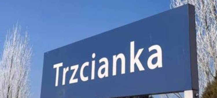Noclegi "LAS WYPAS" Trzcianka图片