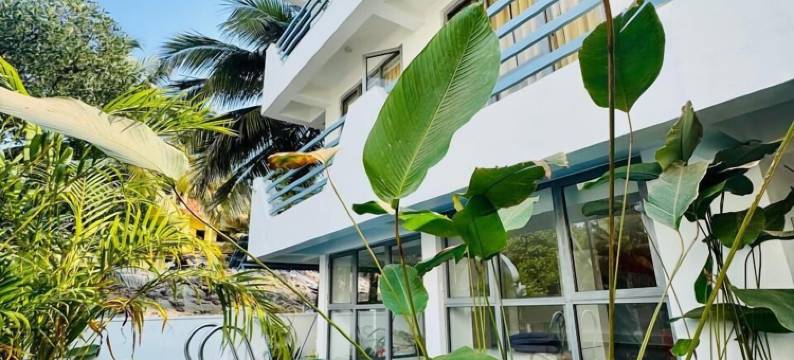 半梅拉(Mela By HALF)图片