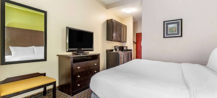 舒适酒店及套房-阿什伯勒东部(Comfort Inn & Suites Asheboro East)图片