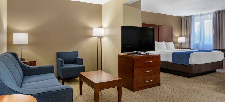 绿色田野村落舒适酒店(Comfort Inn Near Greenfield Village)图片