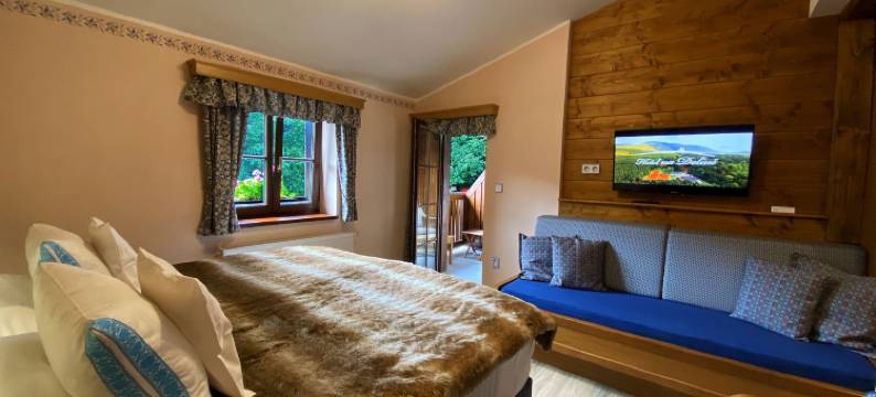 娜多林酒店(Hotel Na Dolině)图片