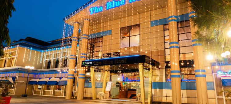 Treebo 蓝屋顶(Treebo the Blue Roof)图片