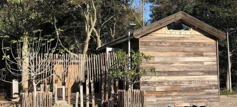 韦斯特杜恩斯特兰德酒店(Strandhotel Westduin)图片