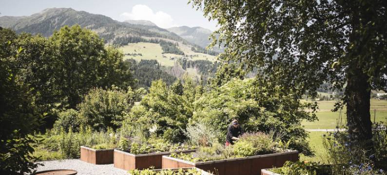 施特拉瑟维特酒店(Strasserwirt - Ansitz zu Tirol)图片