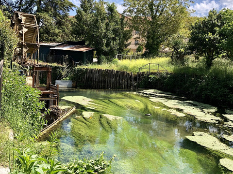 林贡阿尔贝戈酒店