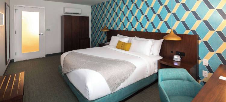 达拉姆创意酒店 - Hyatt尚选品牌成员(Unscripted Durham - JDV by Hyatt)图片