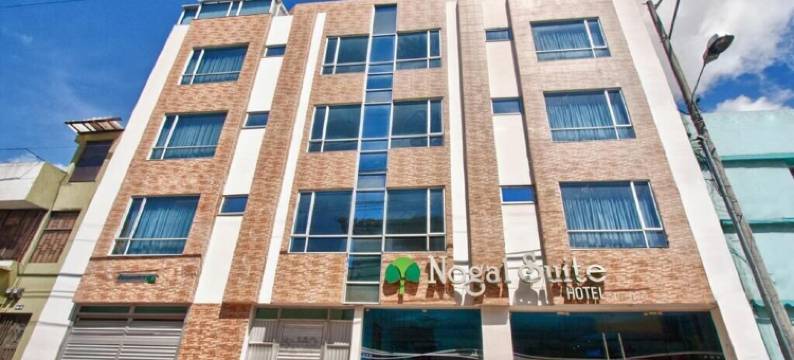 诺加尔套房酒店帕斯托(Nogal Suite Hotel Pasto)图片