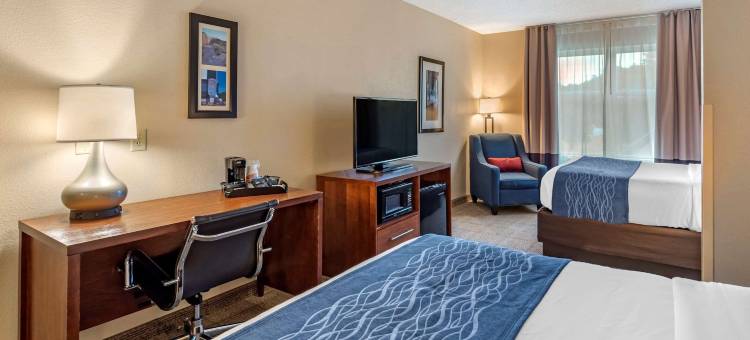 舒适套房酒店维吉尼亚海滩- 诺福克机场(Comfort Inn & Suites Virginia Beach - Norfolk Airport)图片