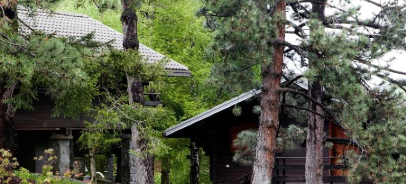 乡村酒店(Hotel Village)图片